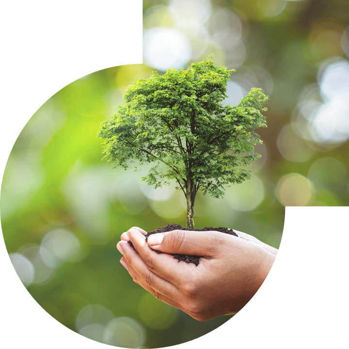 关怀人类、文化、环境与社会